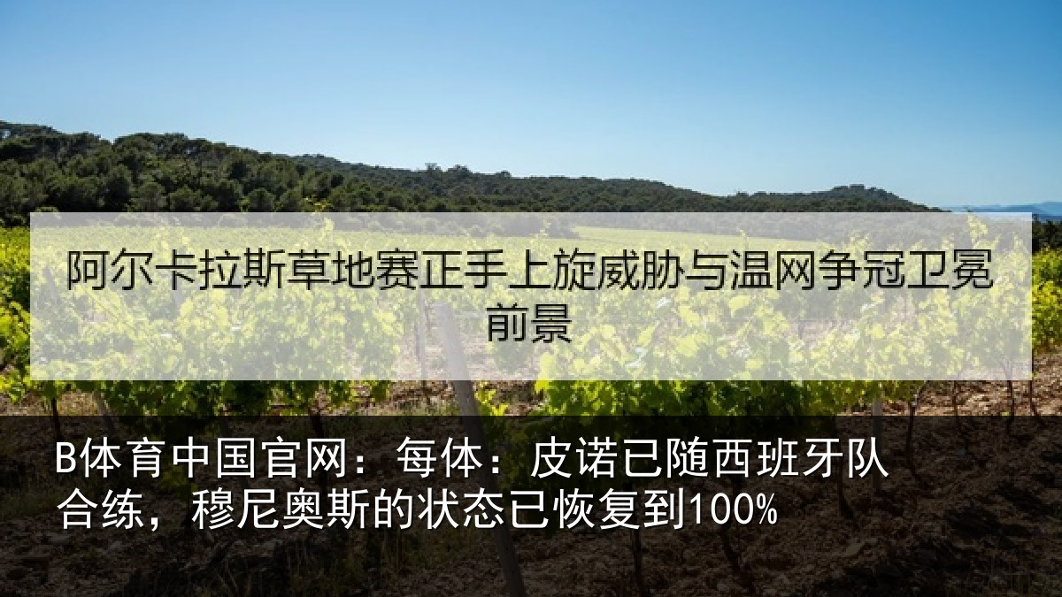 B体育中国官网:每体:皮诺相关情况,穆尼相关情况到100%
