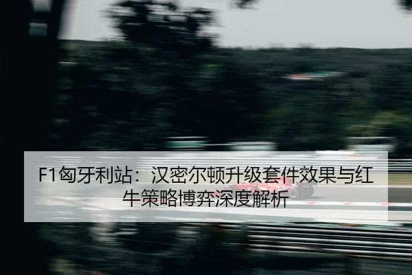 xiong-ya-li-zhan-han-mi-er-dun-sheng-ji-tao-jian-xiao-guo-yu-hong-niu-ce-lve-bo-yi-shen-du-jie-xi-2-624.jpg