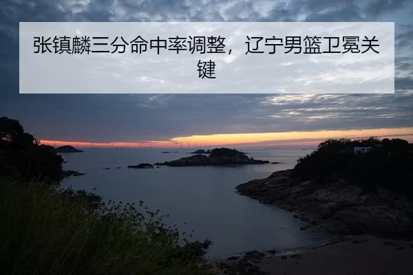 zhang-zhen-lin-san-fen-ming-zhong-lv-tiao-zheng-liao-ning-nan-lan-wei-mian-guan-jian-3-505.jpg